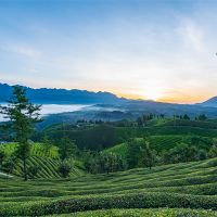 500萬噸/年！湖北儲量約1.12億噸建筑用花崗巖礦擬掛牌出讓